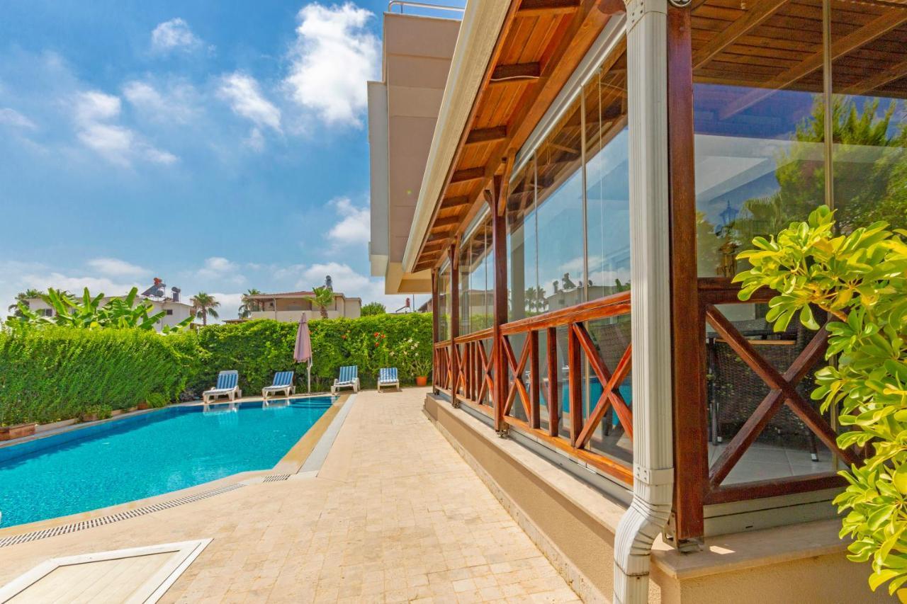 Paradise Town Premium Villa