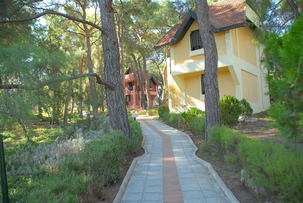 Aurum Exclusive Club 5*