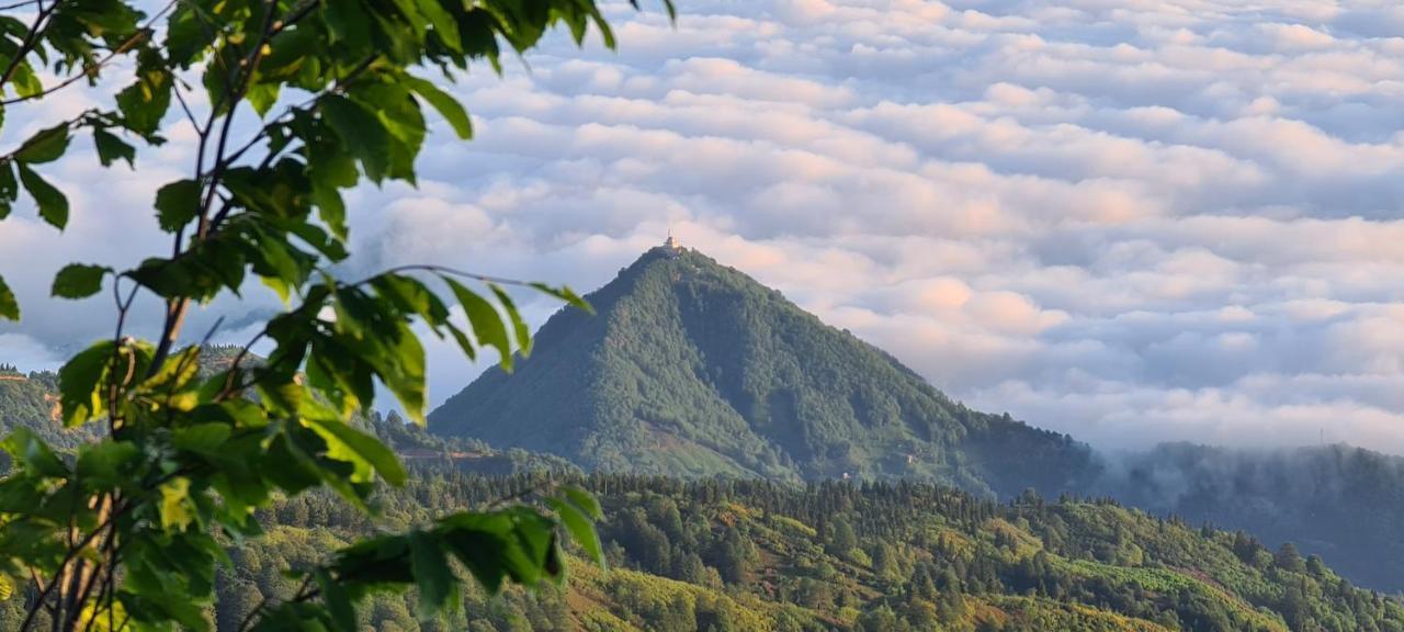 Resort Flora Handuezue & Wellness Rize