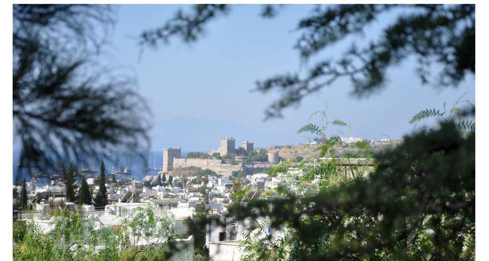 El Vino & Bodrum