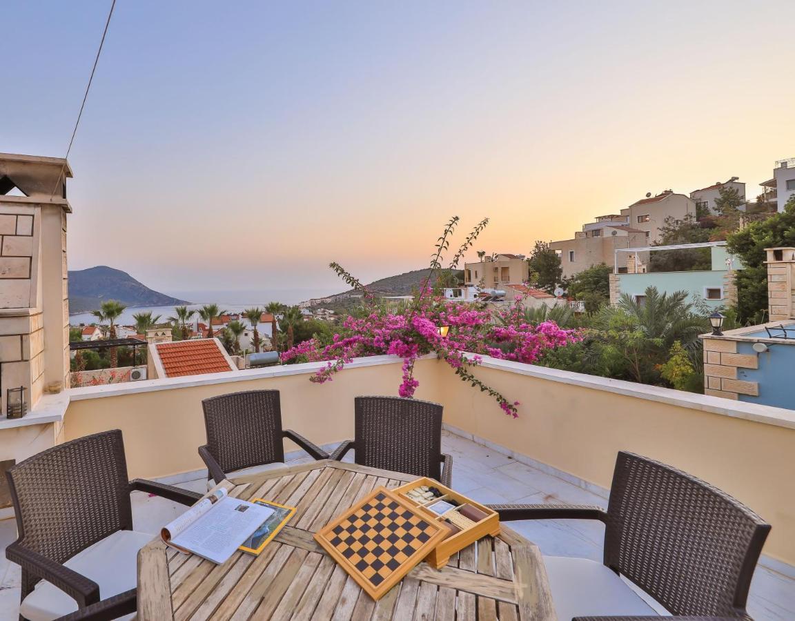 Caretta * Kalkan