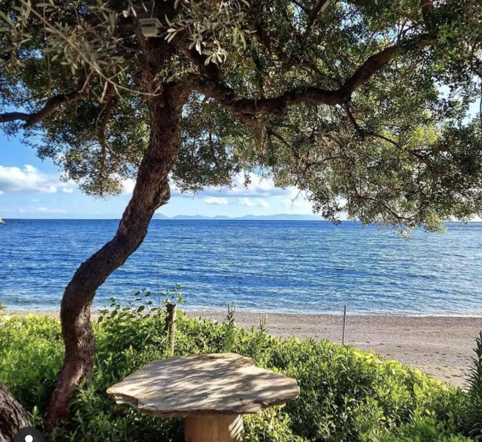 Villa Dadya 2 - With Private Pool - 750m Distance To The Datca