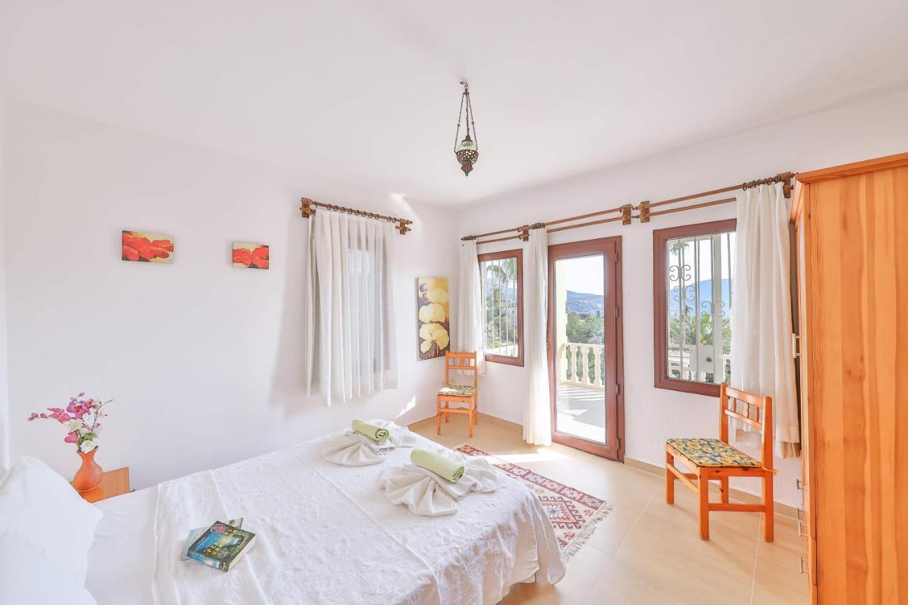 Caretta Kalkan