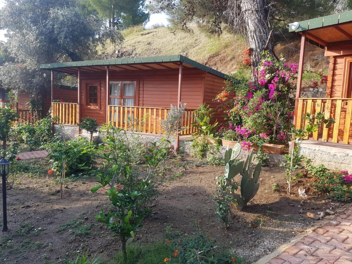 Ipek 2* Camyuva