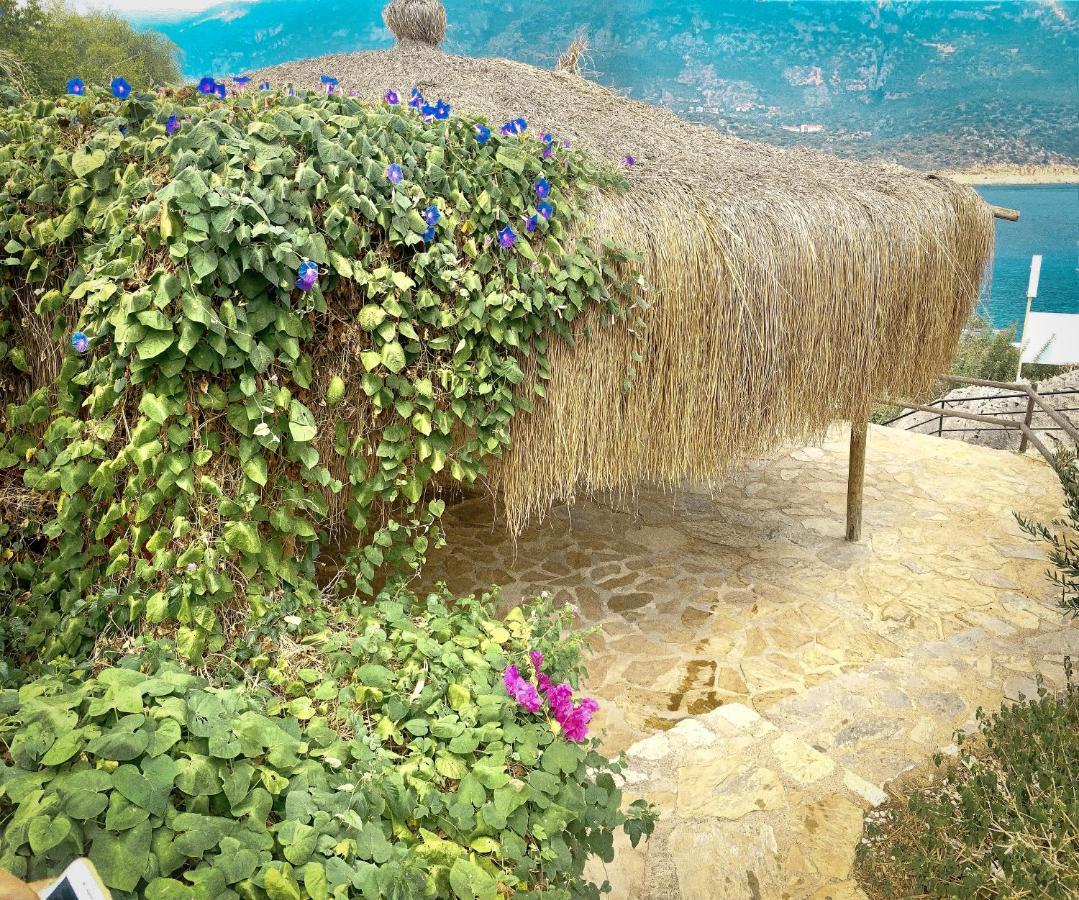 Club Barbarossa Hotel Kas