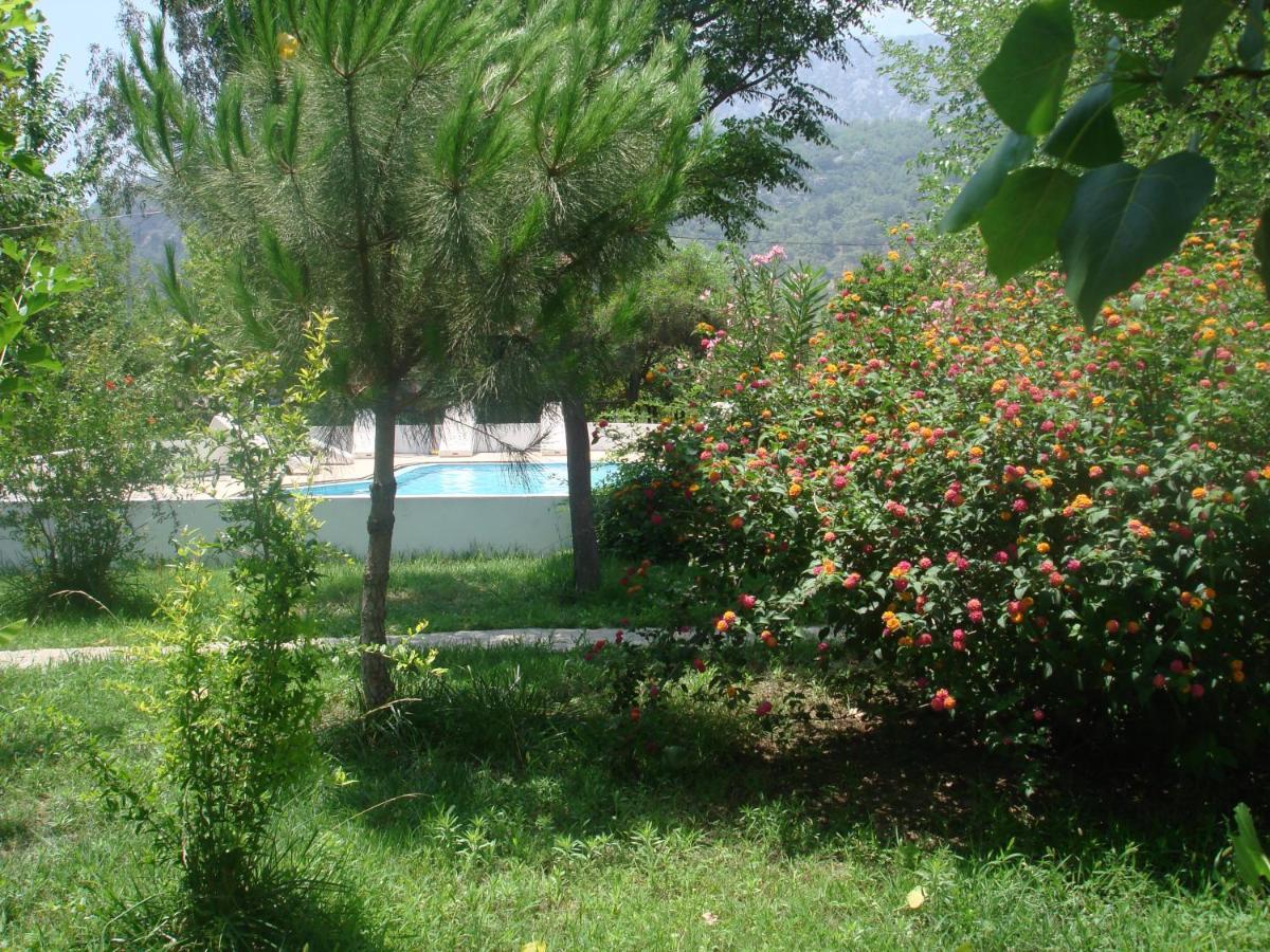 Fire Hotel Cirali