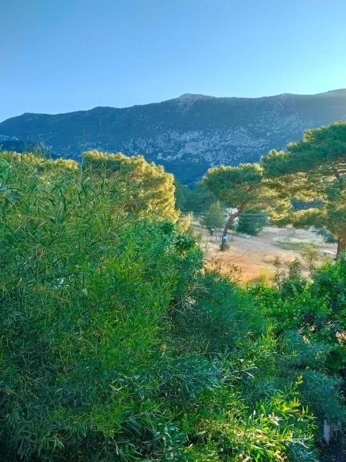 Eldorado 3* Adrasan