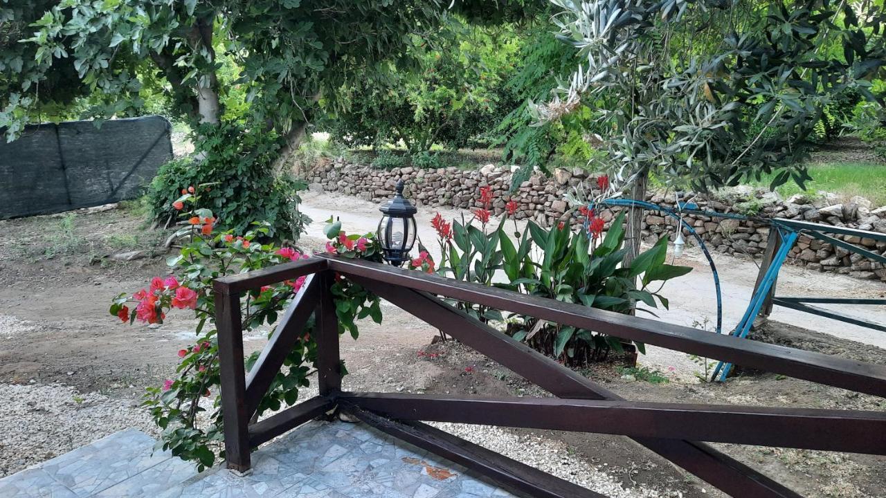 Teo Hotel&pansion Cirali