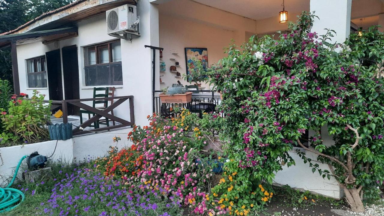 Hotel Teo Hotel&pansion Cirali
