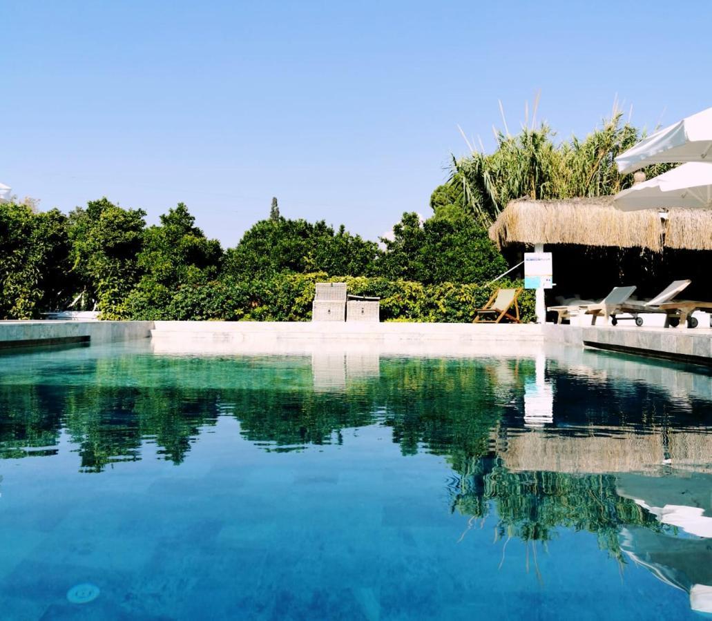 Savra Bodrum