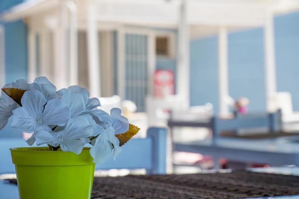 Minerva Port Hotel