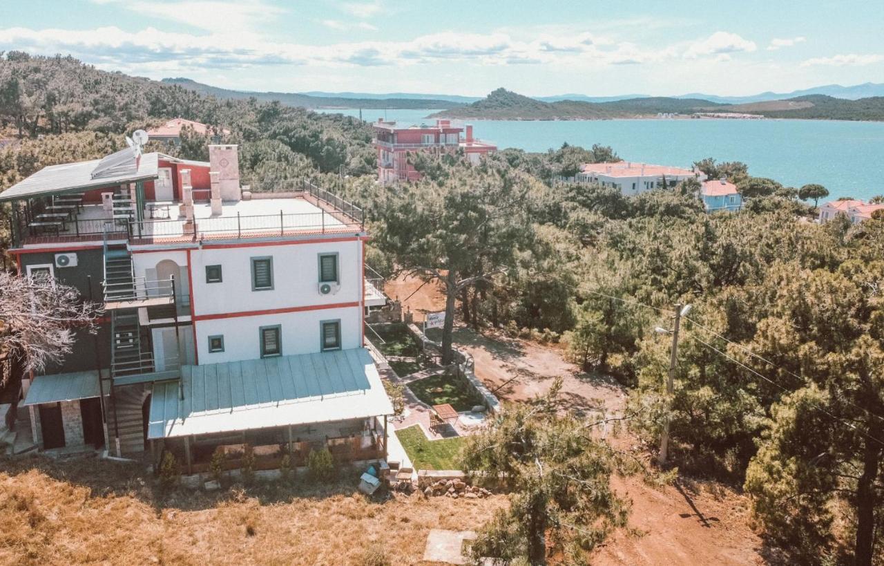 Camlik Deniz Yildizi