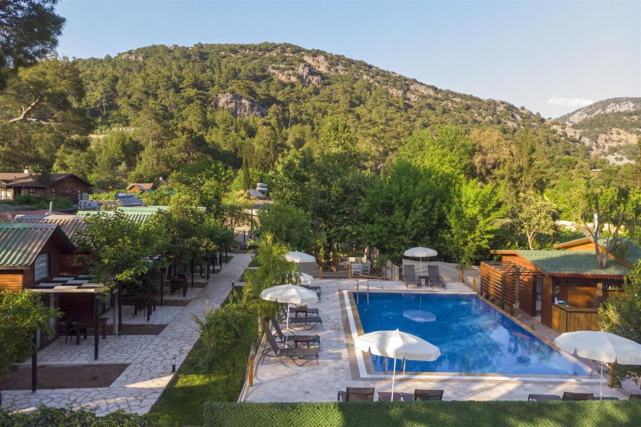 Koala 3* Olympos