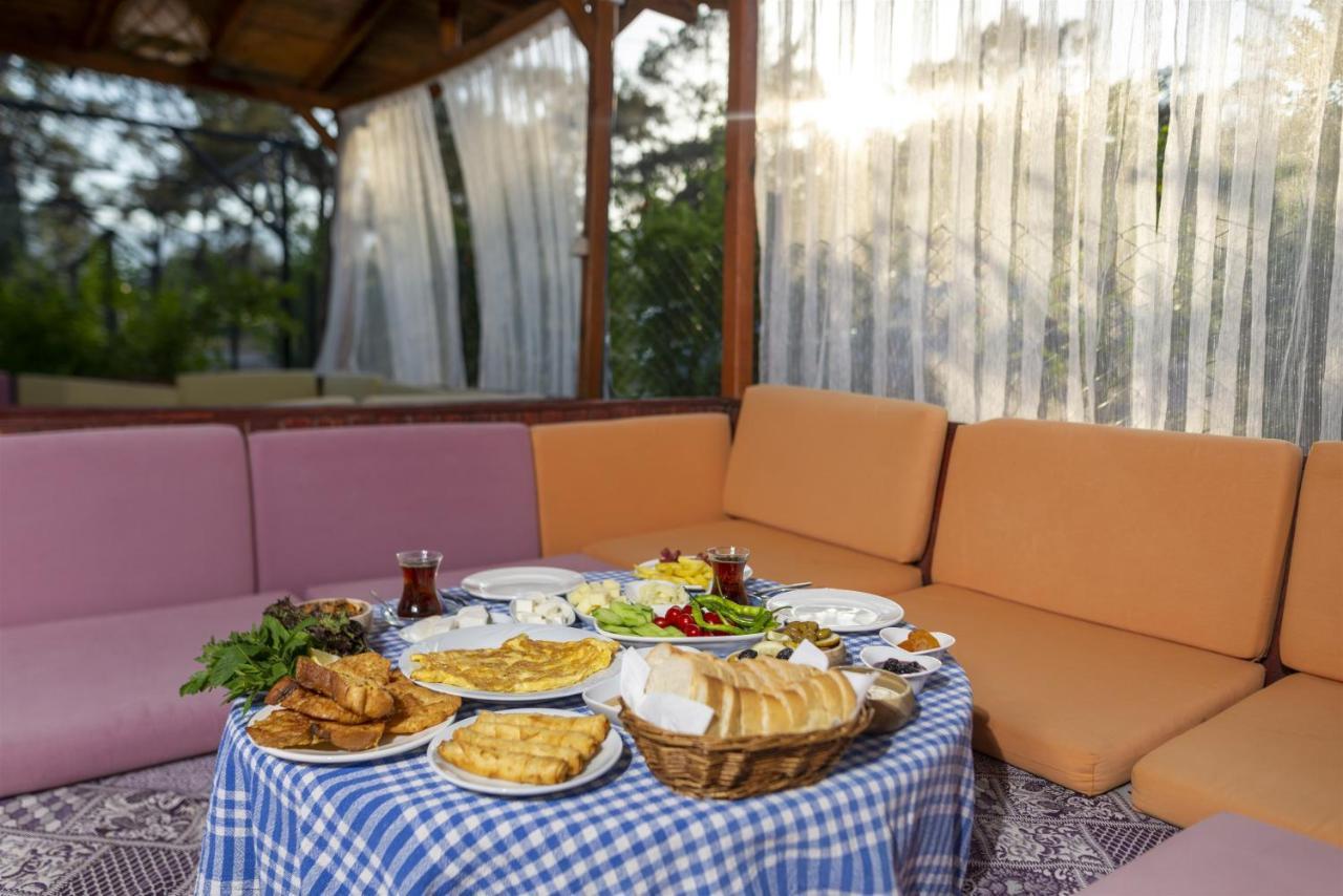 Koala Guest house 3*