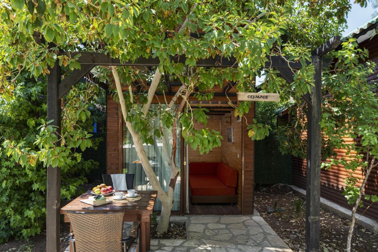 Koala Guest house Olympos