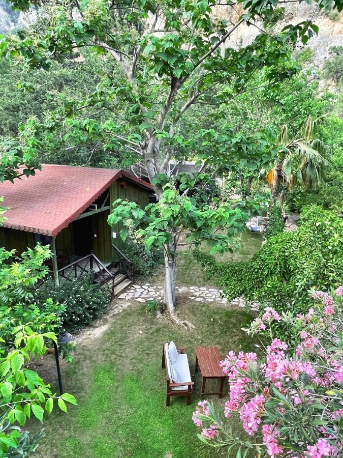 Kibala Holiday park Cirali