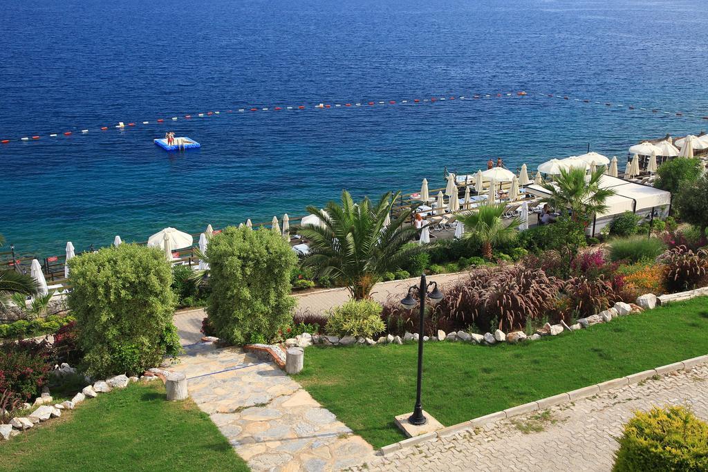 Aktur 3*