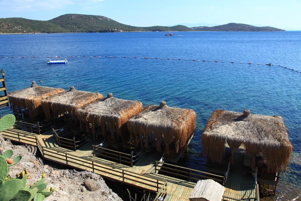 Aparthotel Aktur