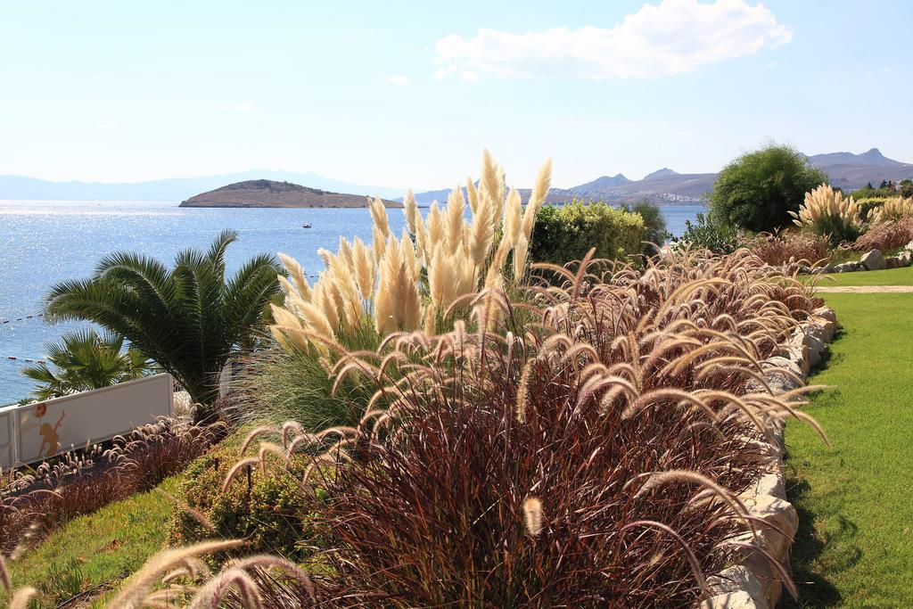 Aparthotel Aktur 3*