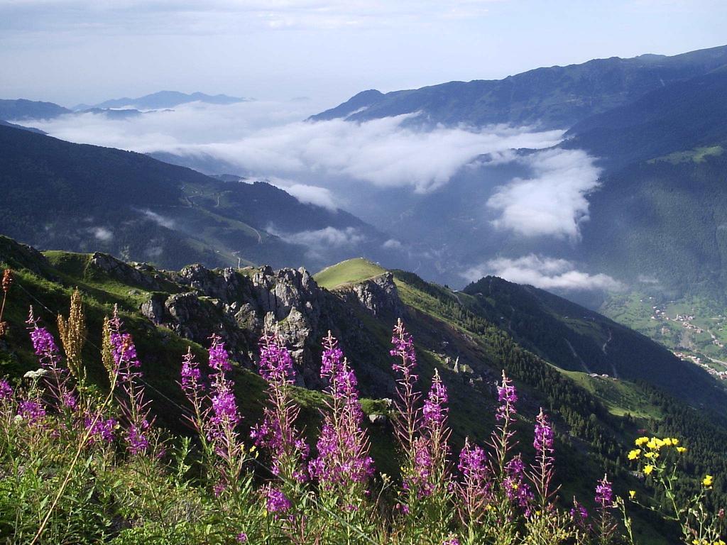 Inanlar Garden & Uzungol