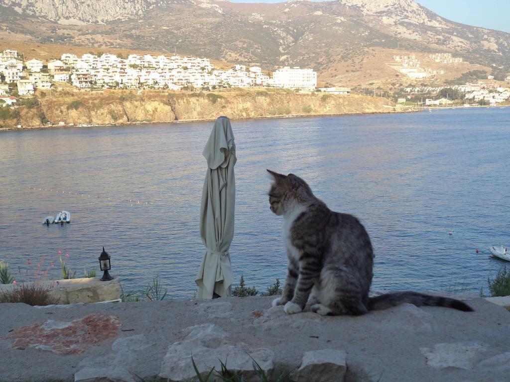 Reyhan Bed & Breakfast Karaburun (Izmir)