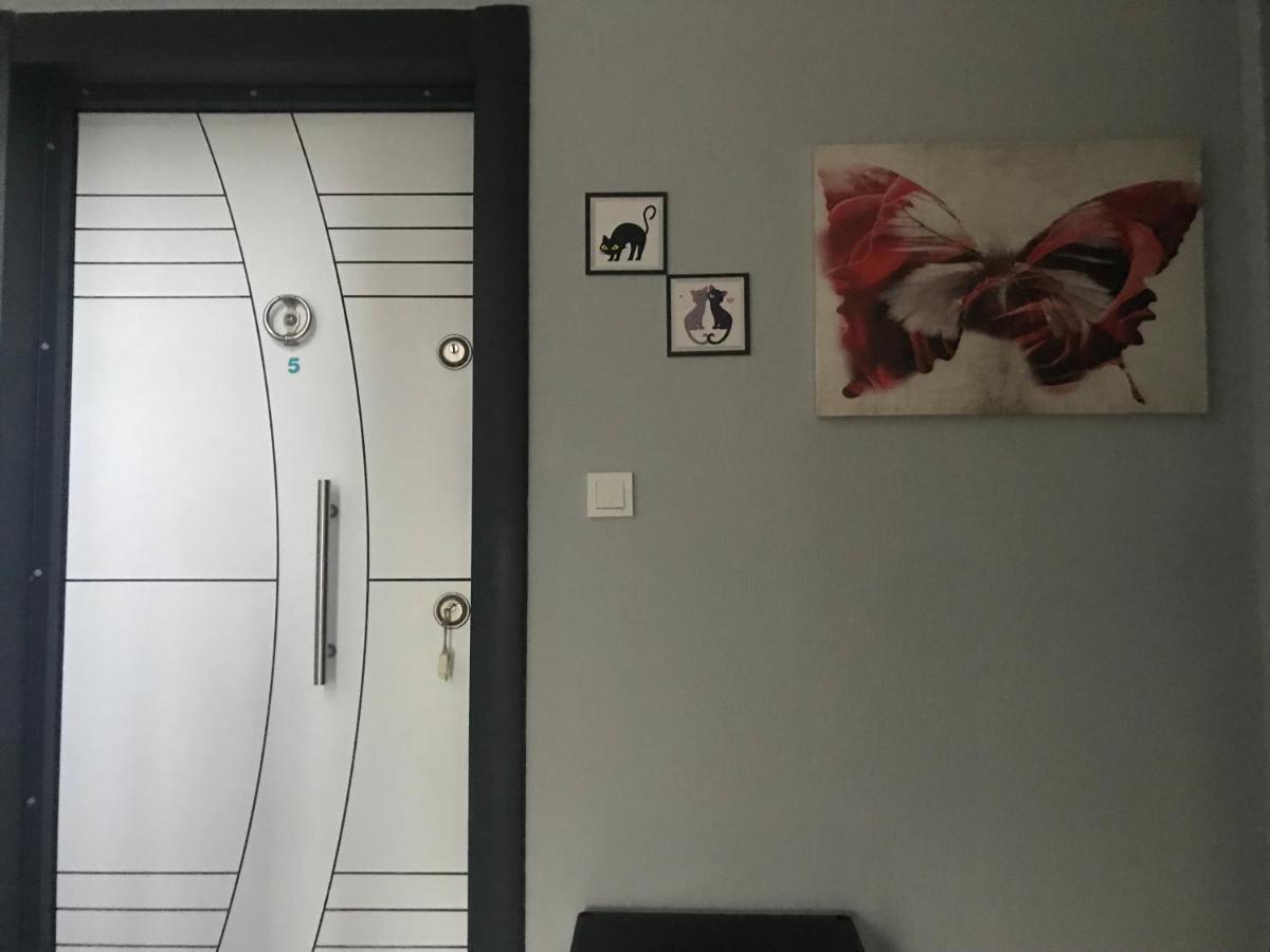 Apartment Teoscitta *