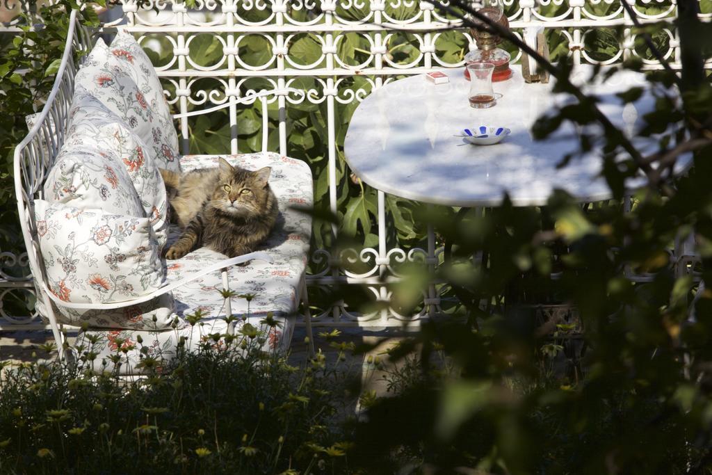 Hotel Nisanyan Selcuk