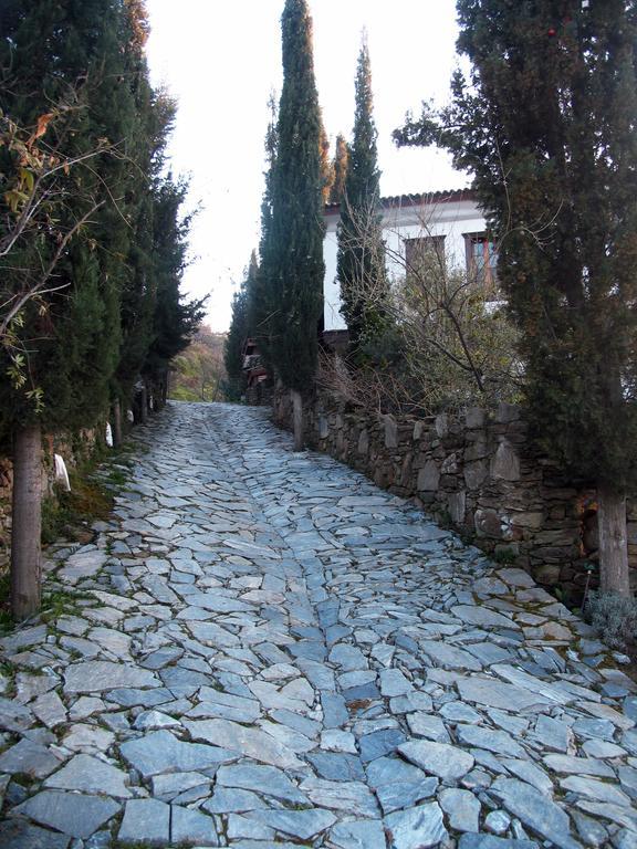 Hotel Nisanyan Selcuk