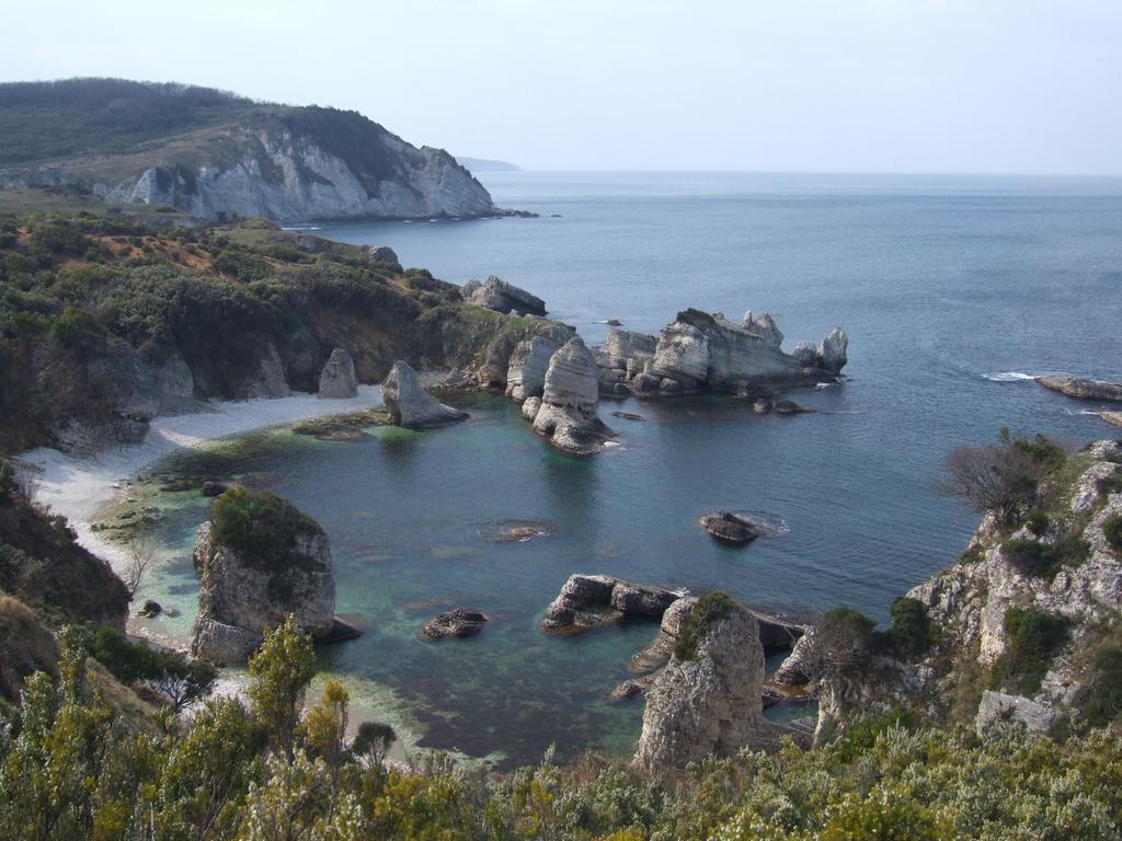 Robin's Nest Agva (Marmara)