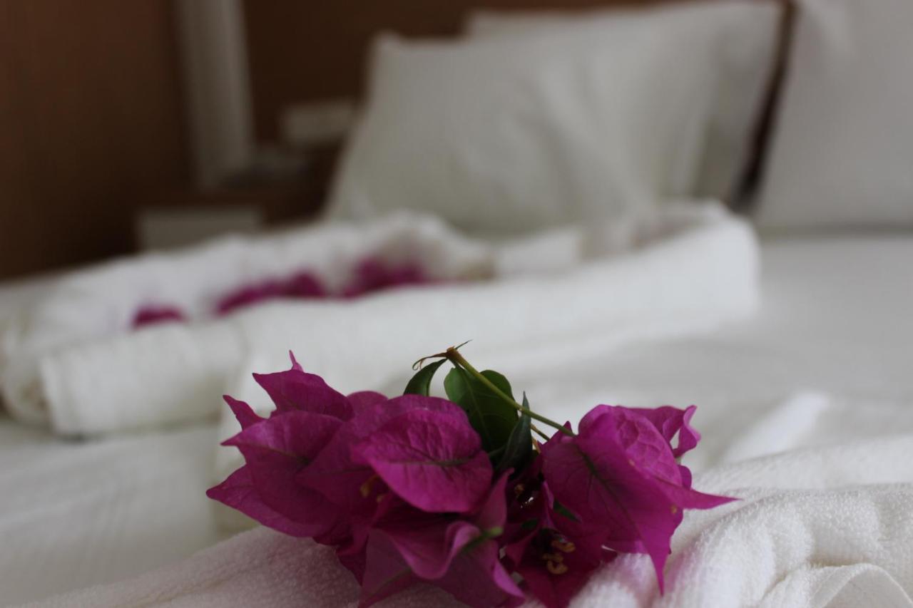Harmony 3*