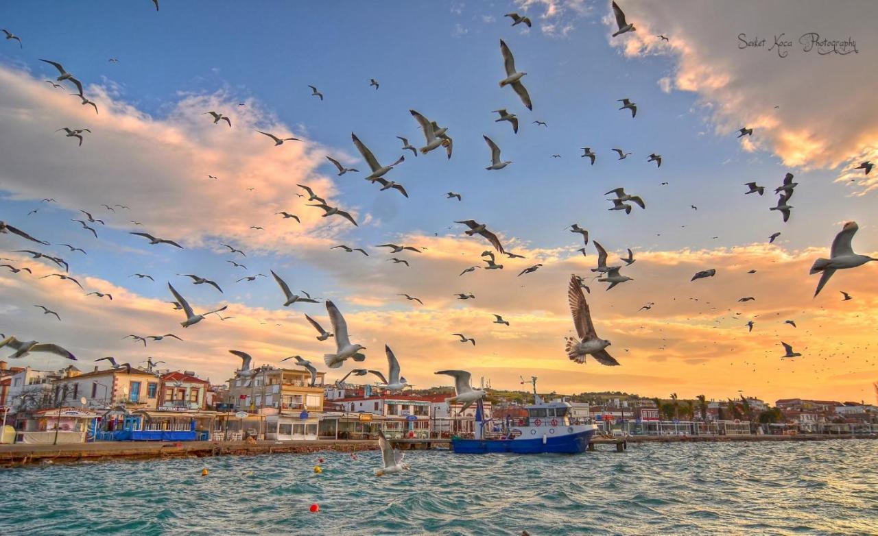 Cunda Lena 2*