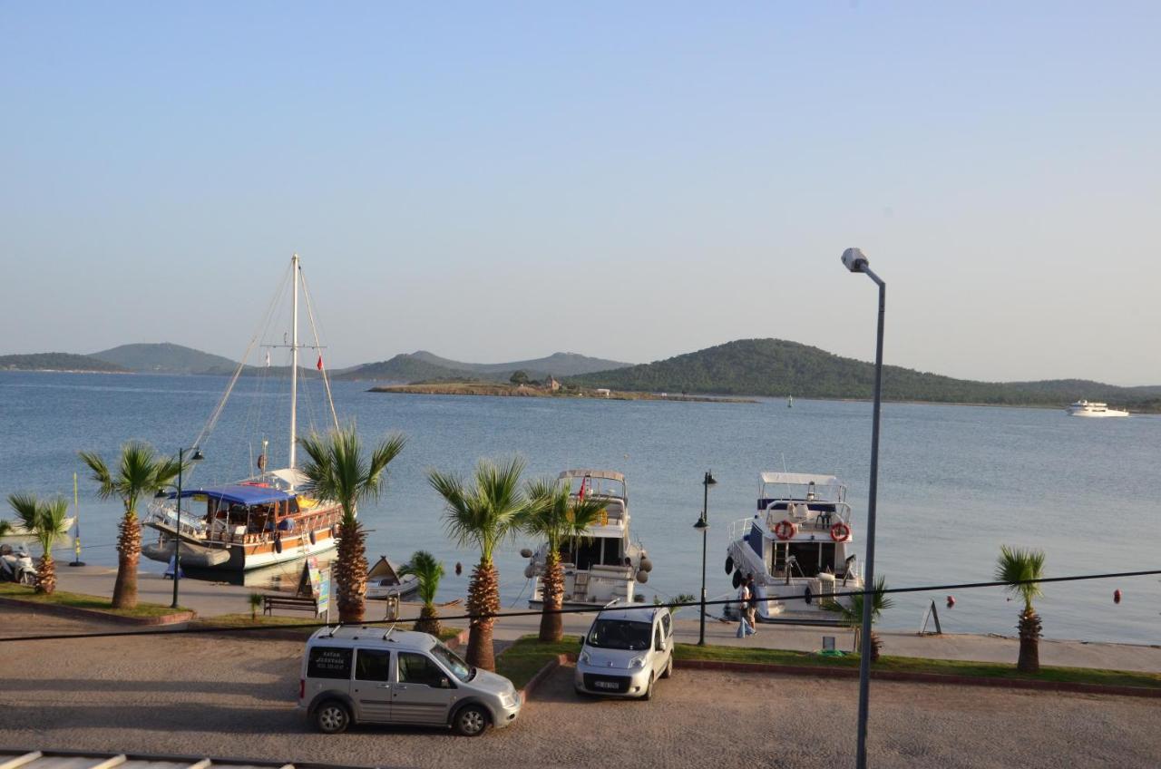 Aliye Hanim *