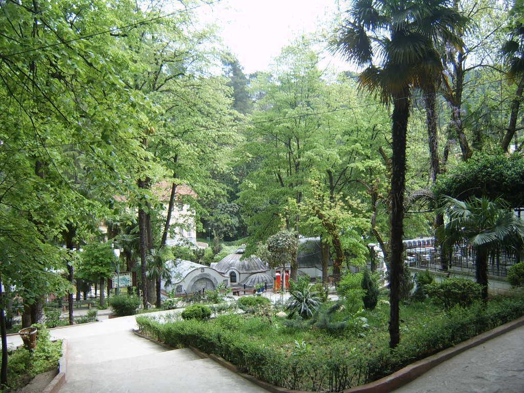 Hotel Thermal Park *