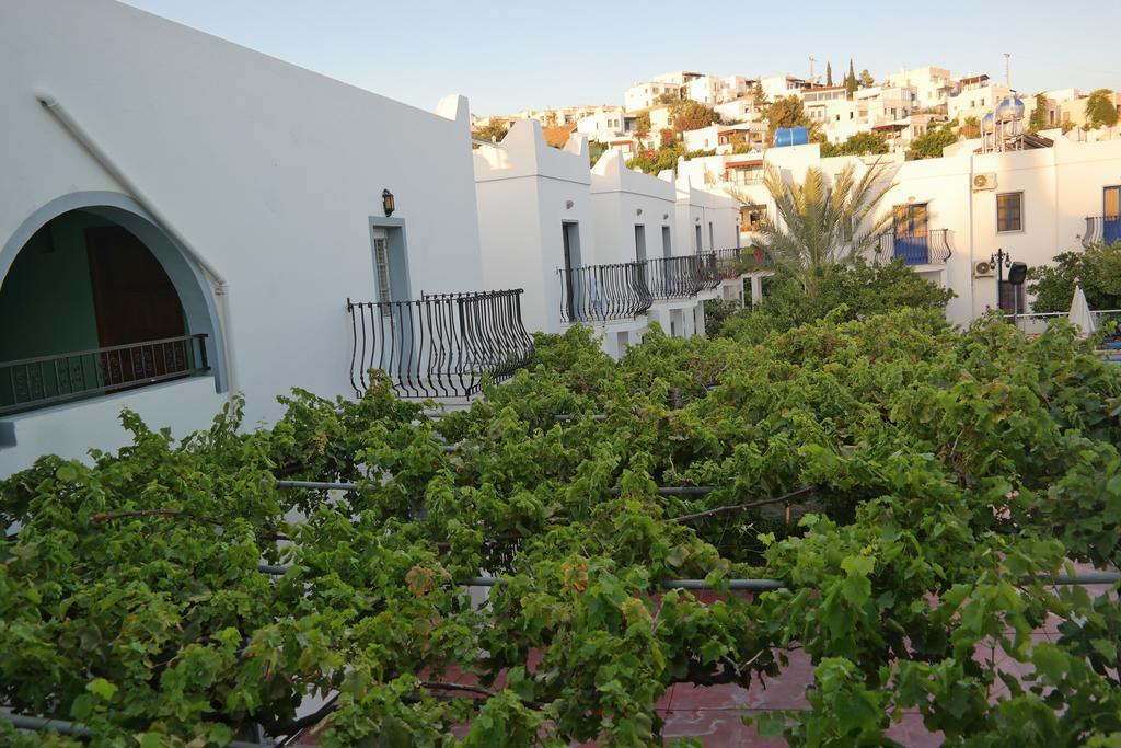 Dilek Apart Hotel 2* Gumbet