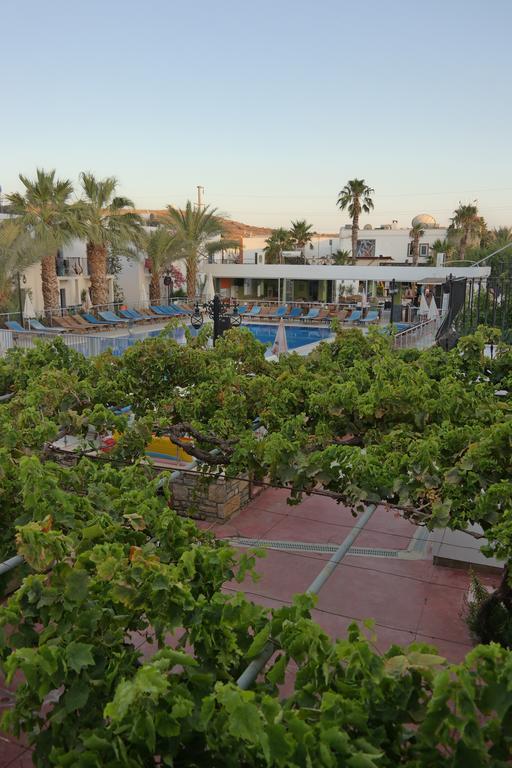 Dilek Apart Hotel Gumbet