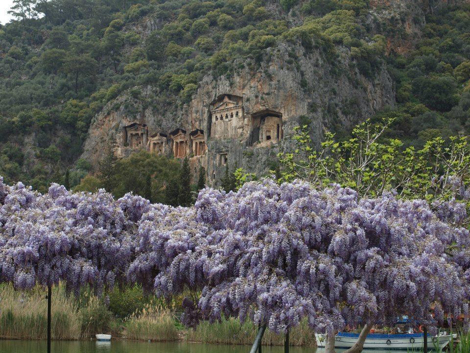 Caria Hotel Sarigerme