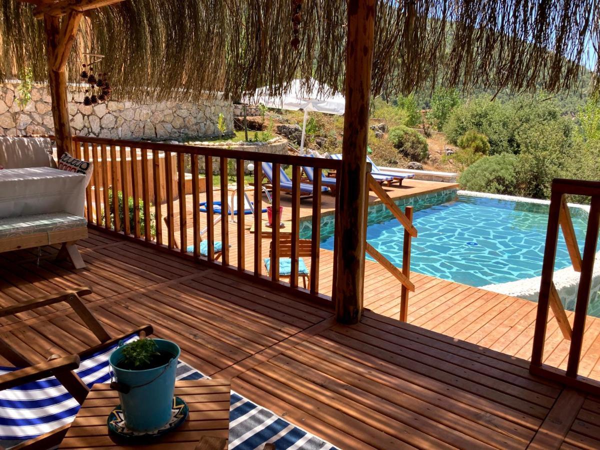 Ambar Evleri * Kalkan
