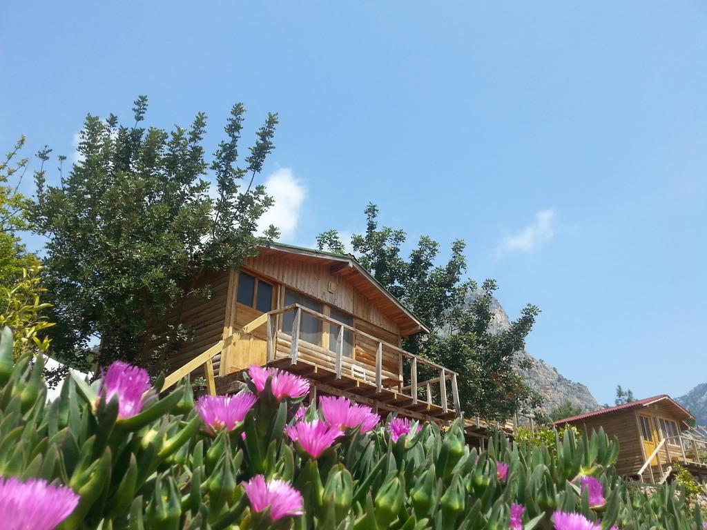 Holiday park Olive Garden Kabak Faralya