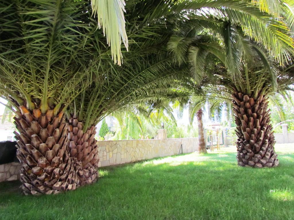 Palmiye Hotel