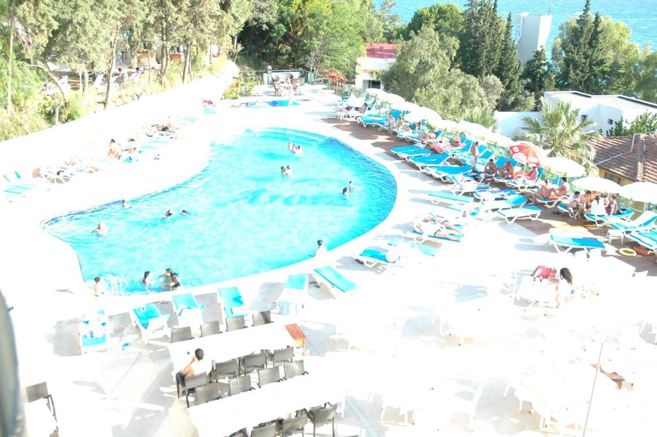 Arora 4*