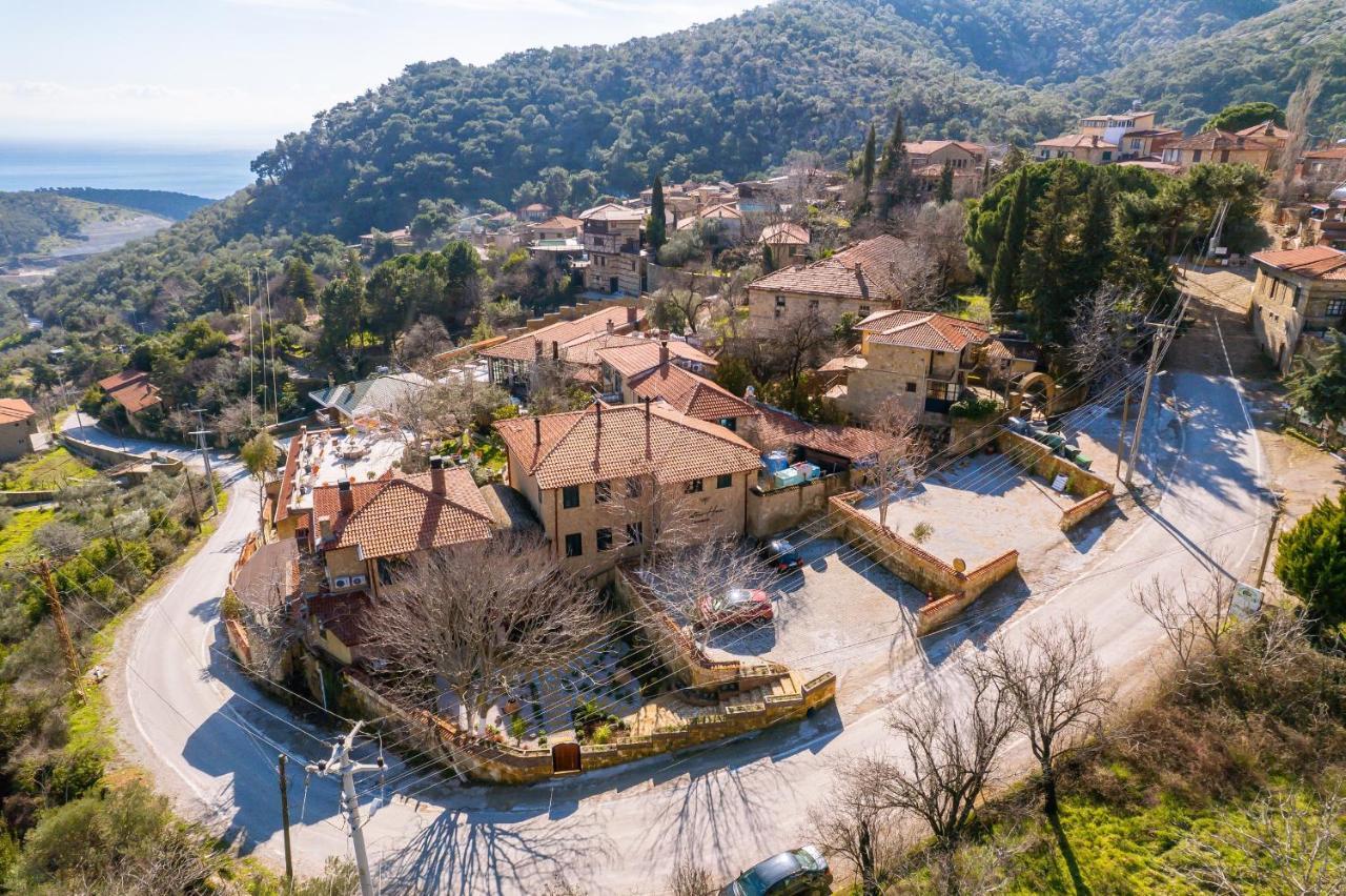 Cetmihan 3*