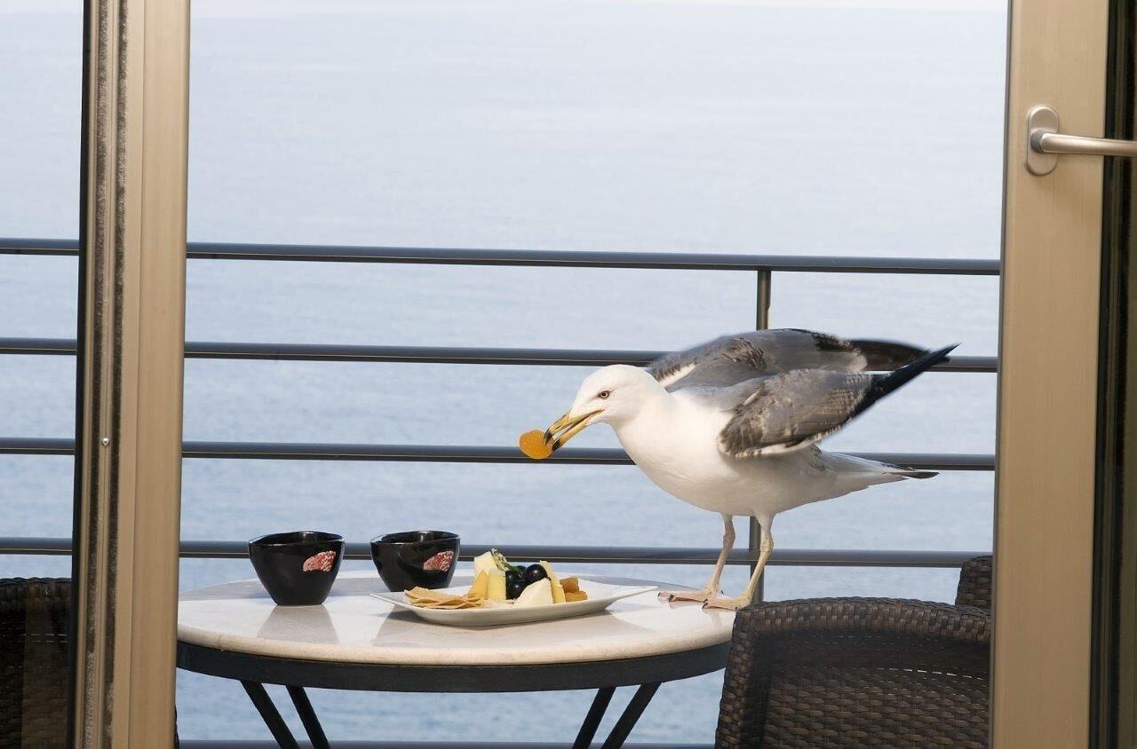 Cinar Hotel Istanbul