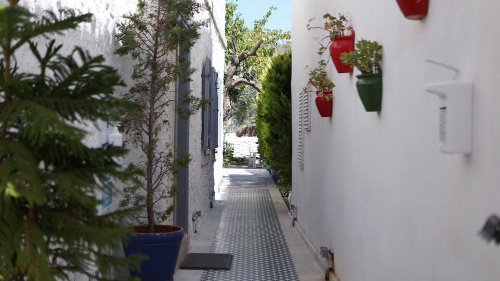 Hotel Vintage 4*