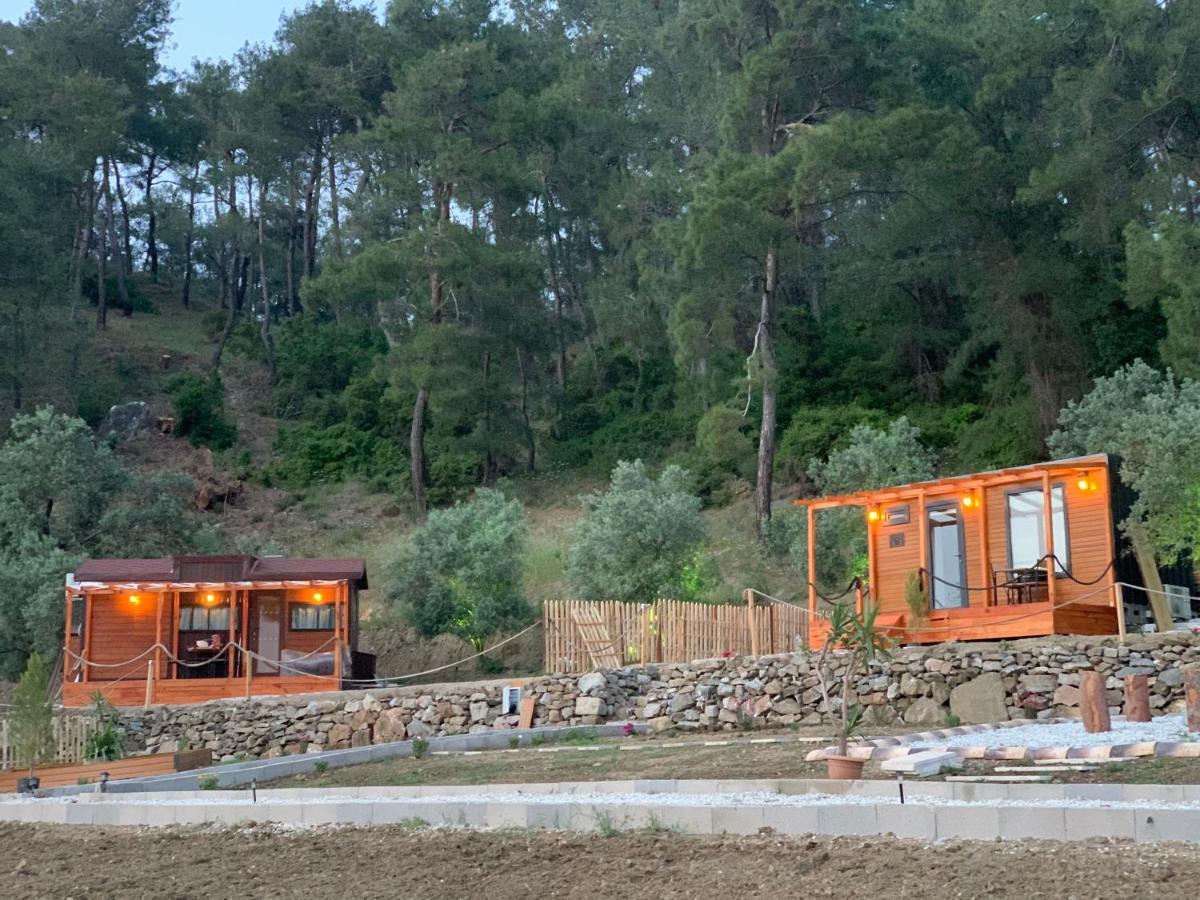 Campsite Tiny Mini House