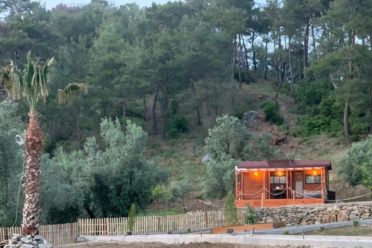 Tiny Mini House Dalaman