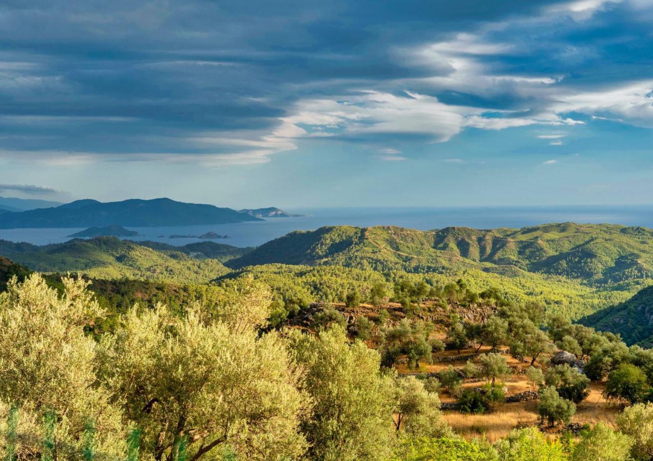 Villa The Box House & Charming Private Tiny House & Pool Gocek (Fethiye)