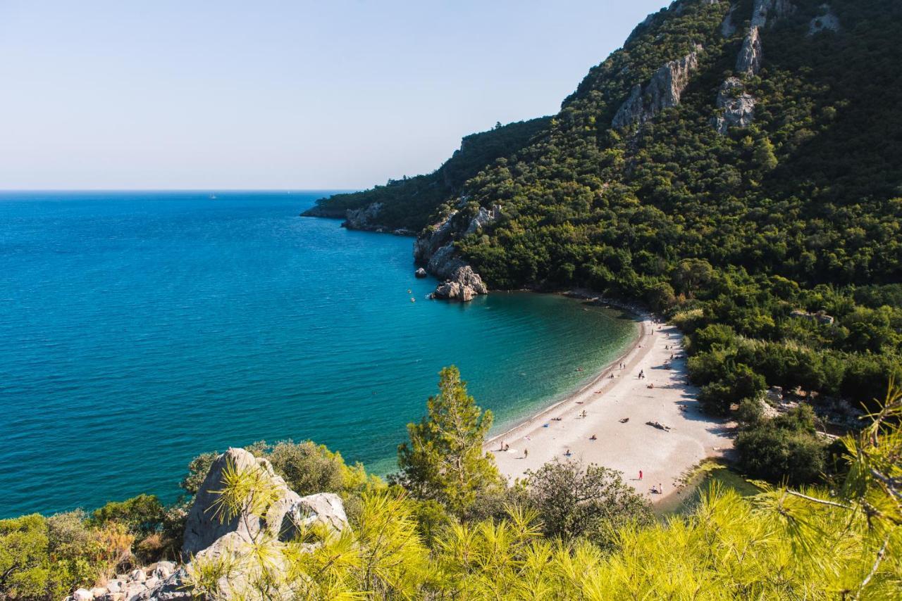 Olympos Orange 3*