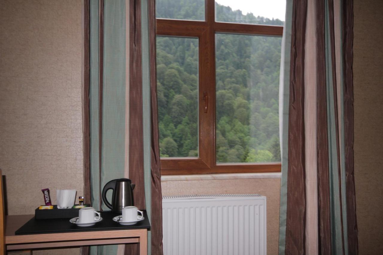 Hotel Ayderoom