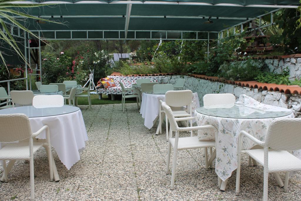 Apartment Kekikhan Olympos