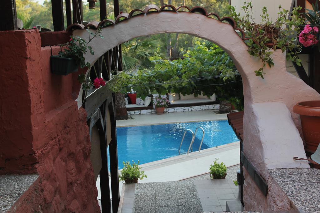 Kekikhan Apartment Olympos